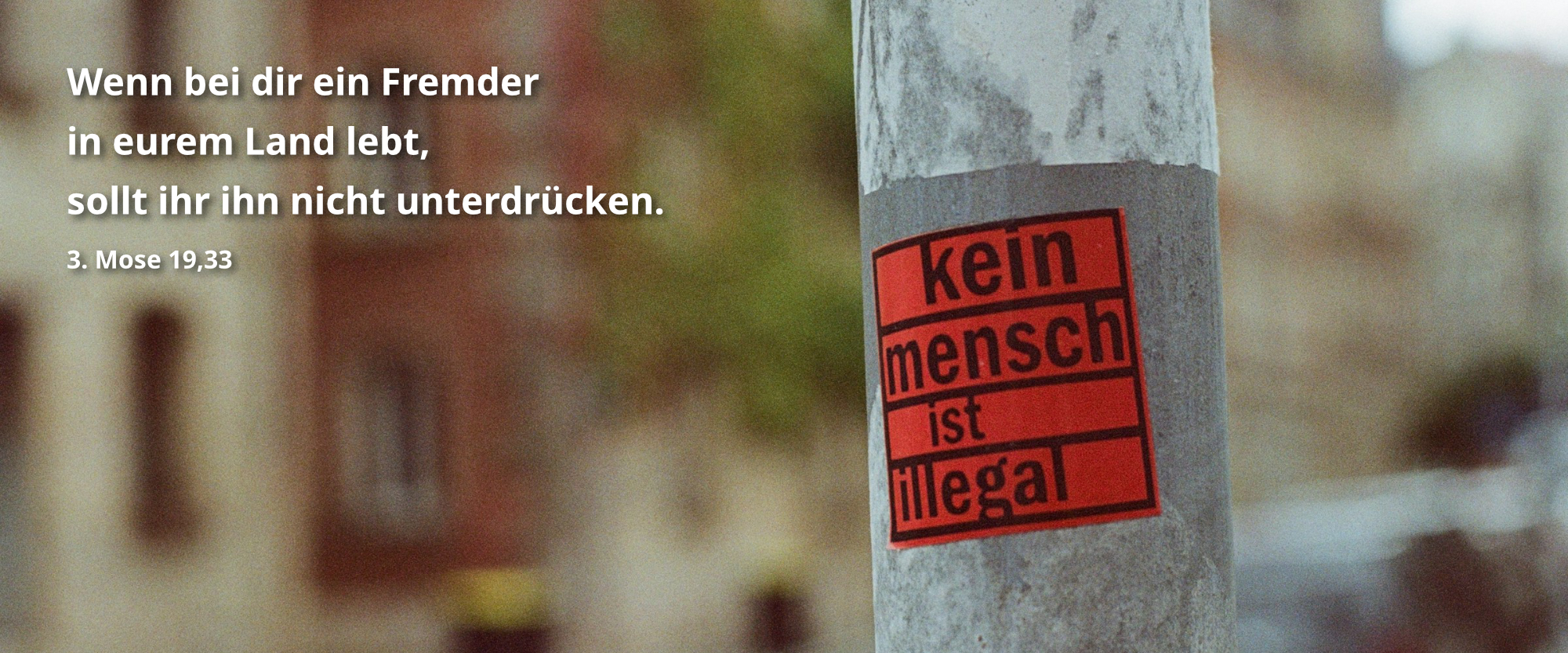 Startseitenbild