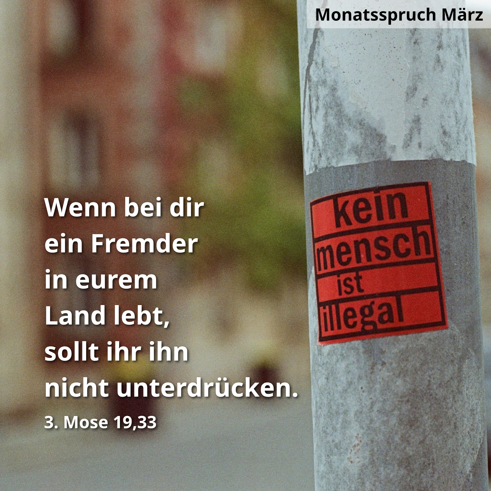 Startseitenbild